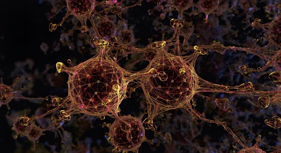 Their Biological Role in Skin Regeneration